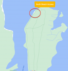 north beach access at Honeymoon Island State Park