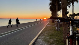 courtney campbell causeway