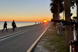 courtney campbell causeway