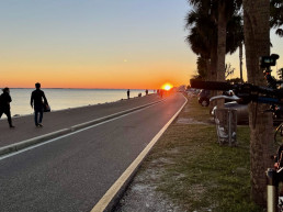 courtney campbell causeway
