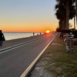 courtney campbell causeway