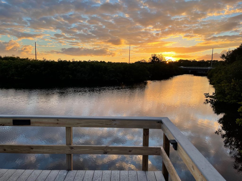 view from the dock